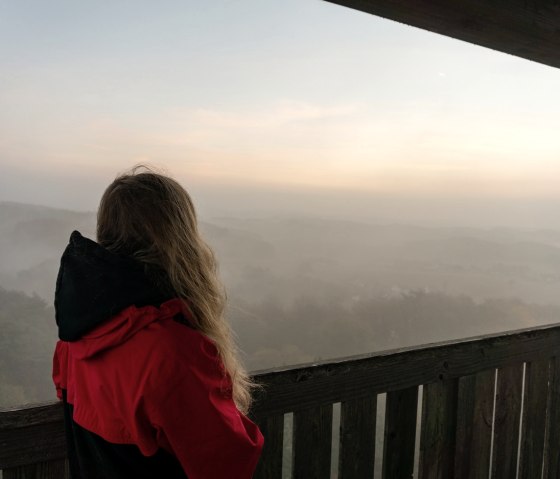 Vue de la Tour Eiffel de Boos par temps de brouillard, © Laura Rinneburger