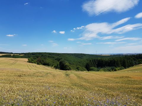 Eine weite Landschaft mit goldenen Feldern und sanften Hügeln. Der Himmel ist blau und mit einigen Wolken durchzogen.