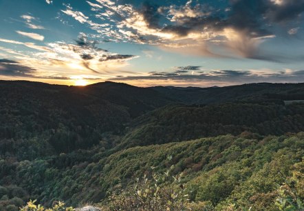 Natur pur, © Foto: Laura Rinneburger, Quelle: Touristik-Büro Vordereifel