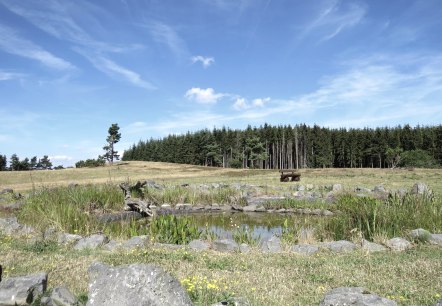 Der "Heidetümpel" auf dem Kindgen, © Foto: Svenja Schulze-Entrup, Quelle: Touristik-Büro Vordereifel
