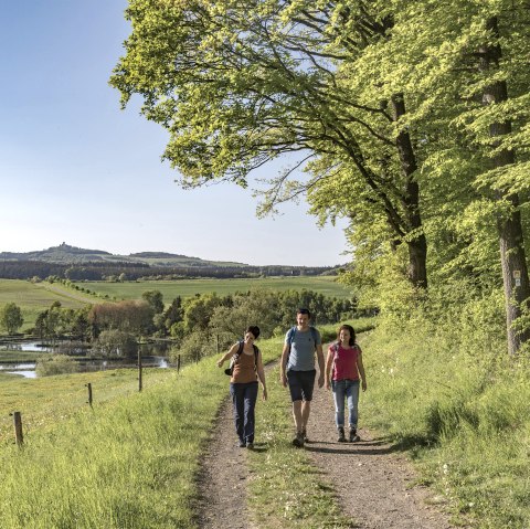 Blick auf den Maarkessel, &copy; Klaus-Peter Kappest/REMET