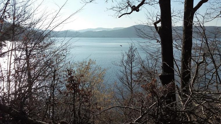A tranquil lake surrounded by trees and gentle hills in the background. The water reflects the sunlight, creating a peaceful atmosphere.