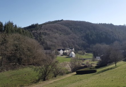 Blick auf Niederwelschenbach, &copy; Foto: Svenja Schulze-Entrup, Quelle: Touristik-B&uuml;ro Vordereifel