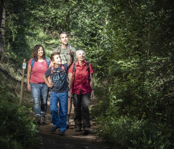 Entlang des Weges, &copy; K.P. Kappest/REMET