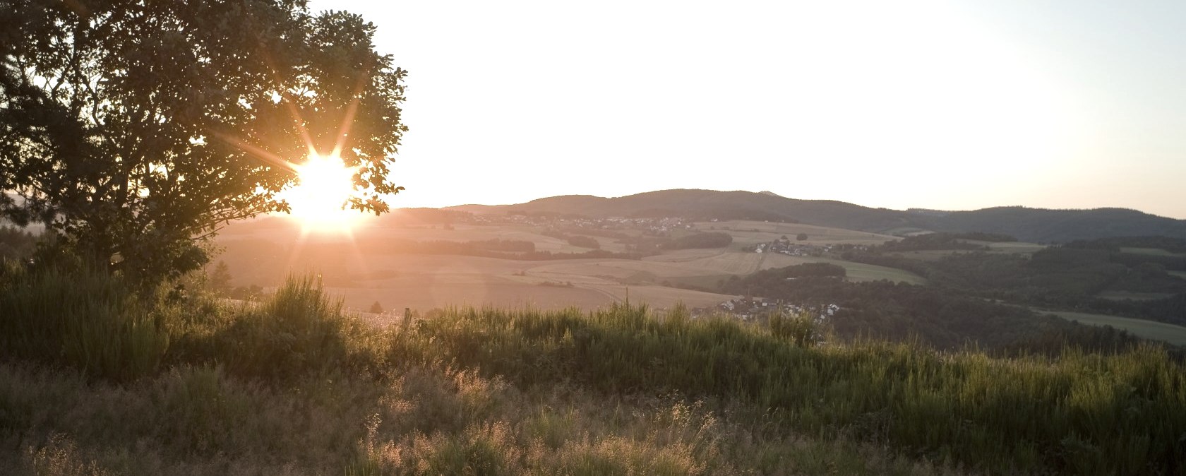 Sonnenuntergang &uuml;ber einer weiten Heidelandschaft. Ein Baum im Vordergrund, die Sonne strahlt durch die &Auml;ste. H&uuml;gelige Landschaft im Hintergrund., &copy; Traumpfade/Kappest