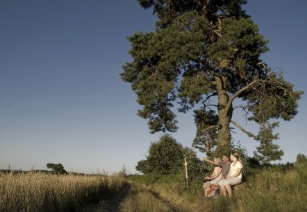 Drei Personen sitzen auf einer Bank unter einem gro&szlig;en Baum am Rand eines Feldwegs. Sie blicken in die Ferne, umgeben von Feldern und klarem Himmel., &copy; Traumpfade/Urlitzki