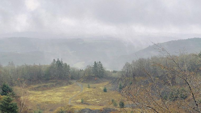 Eine neblige Landschaft mit vielen Bäumen und sanften Hügeln. Der Himmel ist grau und die Sicht ist eingeschränkt.