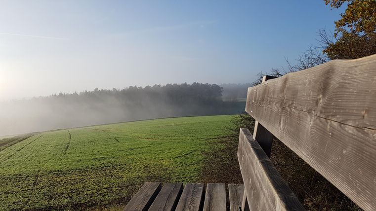 Eine grüne Wiese mit leichtem Nebel und Bäumen im Hintergrund. Im Vordergrund ist ein Holzgeländer zu sehen.