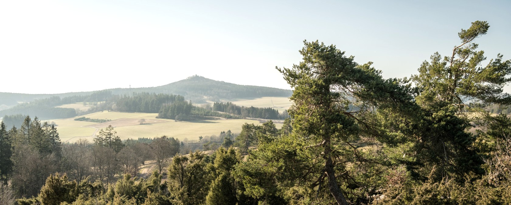 Blick &uuml;ber eine h&uuml;gelige Landschaft in der Eifel mit Wacholderb&uuml;schen im Vordergrund und bewaldeten H&uuml;geln im Hintergrund., &copy; Eifel Tourismus GmbH, D. Ketz