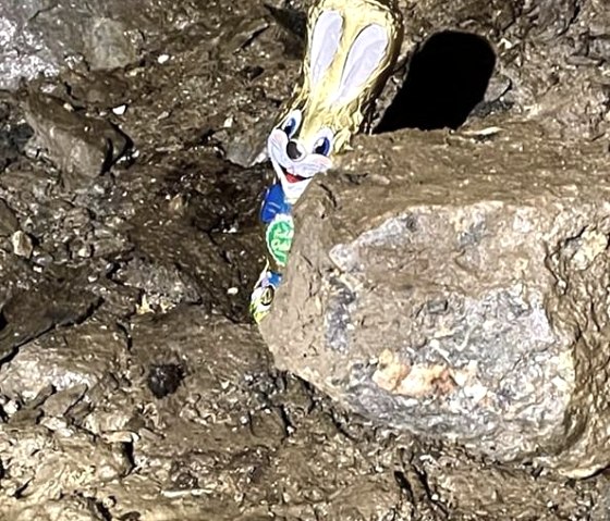 Osterhase, &copy; Dr. Volker Reppke