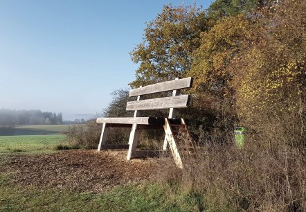Die Baumelbank im Herbst, © Foto: Svenja Schulze-Entrup, Quelle: Touristik-Büro Vordereifel
