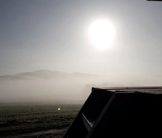 Die Baumelbank im Herbstnebel, &copy; Foto: Svenja Schulze-Entrup, Quelle: Touristik-B&uuml;ro Vordereifel