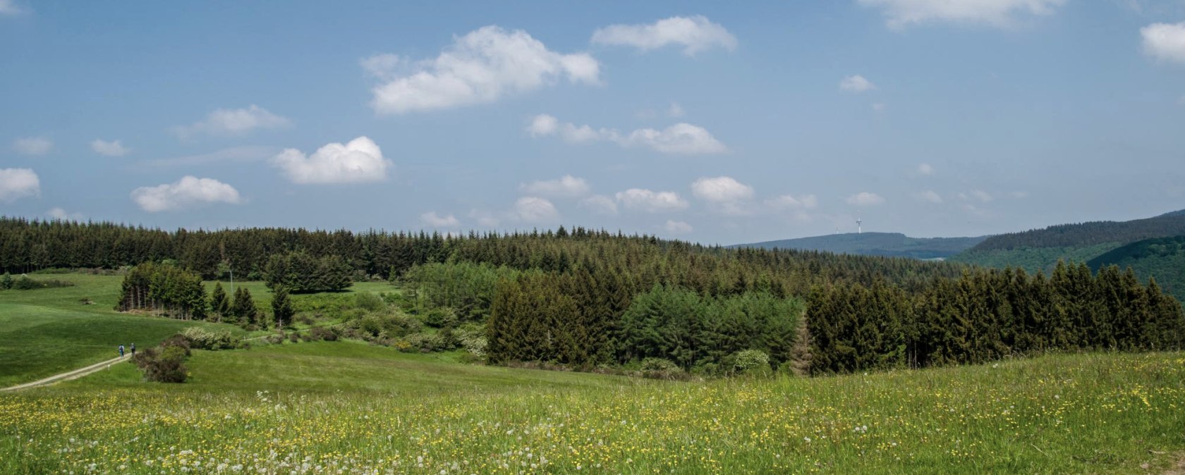 Grüne Wiesen und Blauer Himmel, © Volker Windheuser