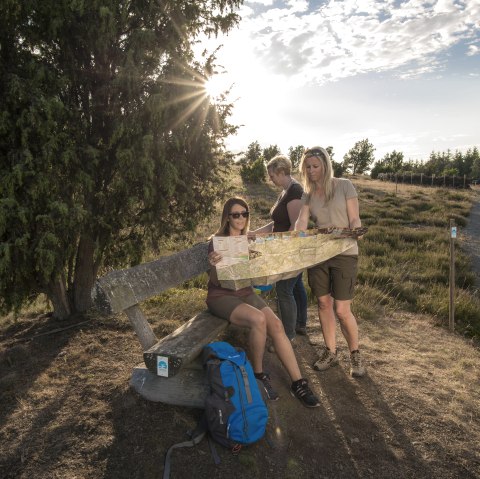 Wanderer auf dem Traumpf&auml;dchen, &copy; Klaus-Peter Kappest/REMET