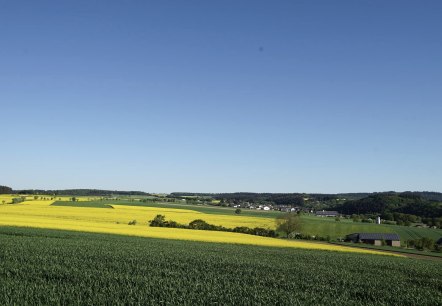 Ausblick, &copy; Laura Rinneburger