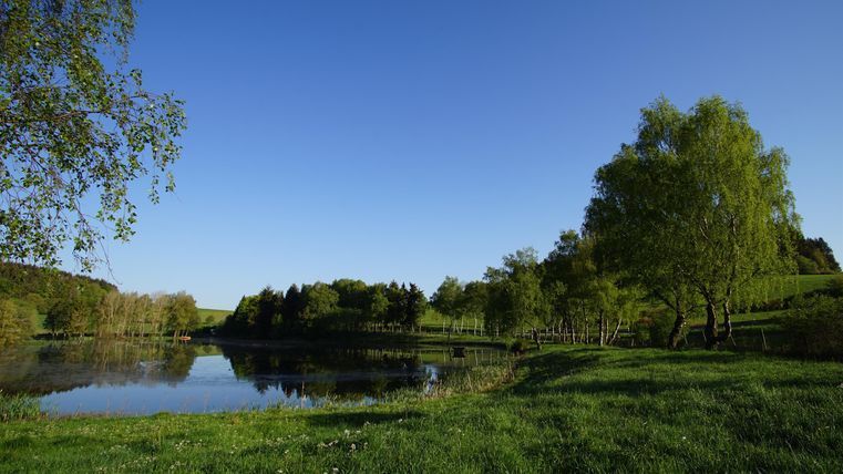 Eine malerische Landschaft mit einem ruhigen Teich und üppigem grünem Gras. Der Himmel ist klar und blau, umgeben von Bäumen.