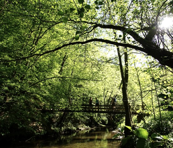 A wooden bridge crosses a small river in a dense, green forest. Sunlight shines through the leaves and creates a lively interplay of light and shadow., &copy; Laura Rinneburger