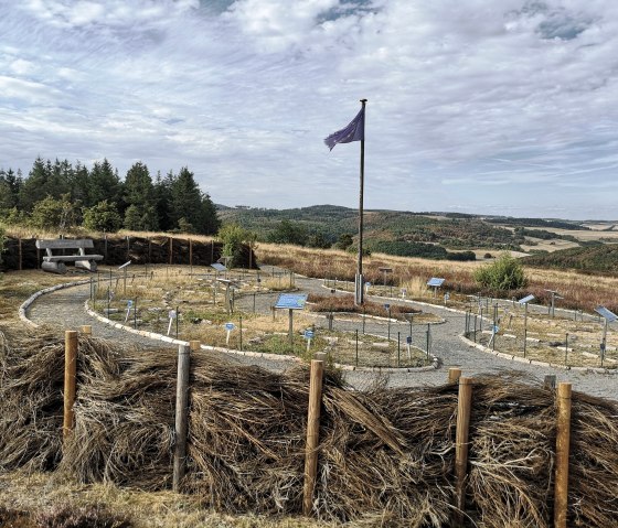 Heidegarten, &copy; Laura Rinneburger